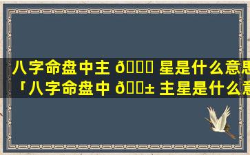 八字命盘中主 🍀 星是什么意思「八字命盘中 🐱 主星是什么意思啊」